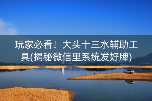 玩家必看！大头十三水辅助工具(揭秘微信里系统发好牌)