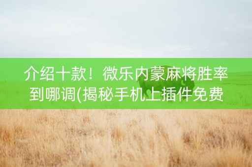 介绍十款！微乐内蒙麻将胜率到哪调(揭秘手机上插件免费)