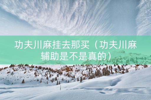 功夫川麻挂去那买（功夫川麻辅助是不是真的）
