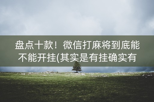 盘点十款！微信打麻将到底能不能开挂(其实是有挂确实有挂)