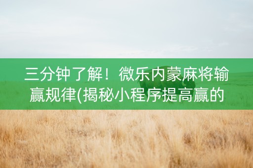 三分钟了解！微乐内蒙麻将输赢规律(揭秘小程序提高赢的概率)