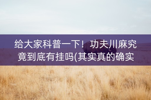 给大家科普一下！功夫川麻究竟到底有挂吗(其实真的确实有挂)