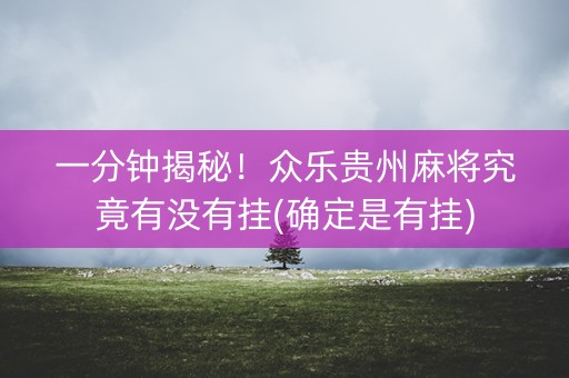 一分钟揭秘！众乐贵州麻将究竟有没有挂(确定是有挂)