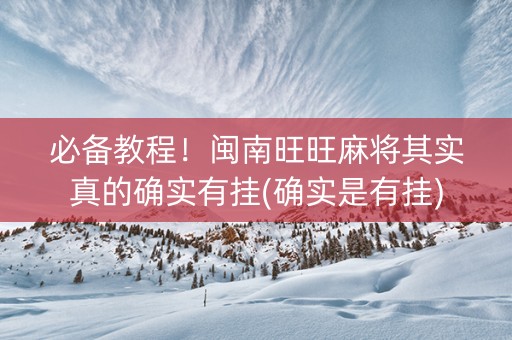 必备教程！闽南旺旺麻将其实真的确实有挂(确实是有挂)