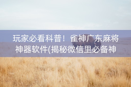 玩家必看科普！雀神广东麻将神器软件(揭秘微信里必备神器)