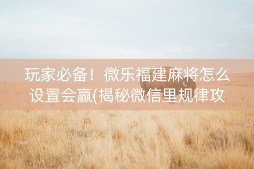 玩家必备！微乐福建麻将怎么设置会赢(揭秘微信里规律攻略)