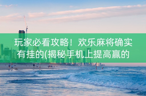 玩家必看攻略！欢乐麻将确实有挂的(揭秘手机上提高赢的概率)