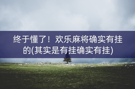 终于懂了！欢乐麻将确实有挂的(其实是有挂确实有挂)