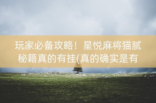 玩家必备攻略！星悦麻将猫腻秘籍真的有挂(真的确实是有挂)