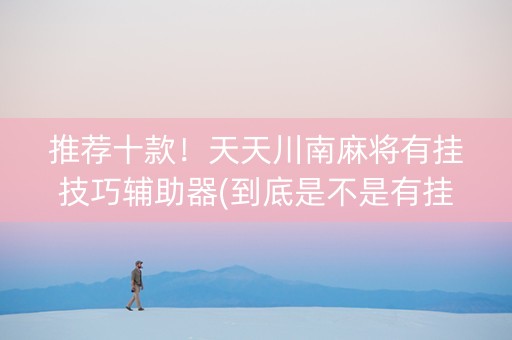 推荐十款！天天川南麻将有挂技巧辅助器(到底是不是有挂)