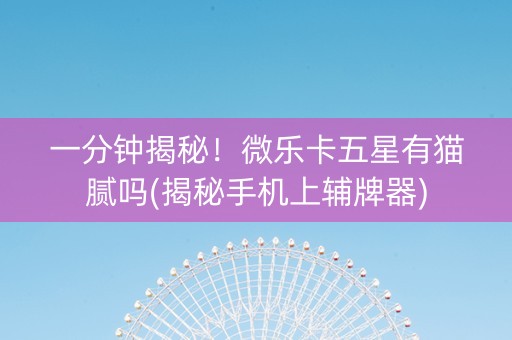 一分钟揭秘！微乐卡五星有猫腻吗(揭秘手机上辅牌器)