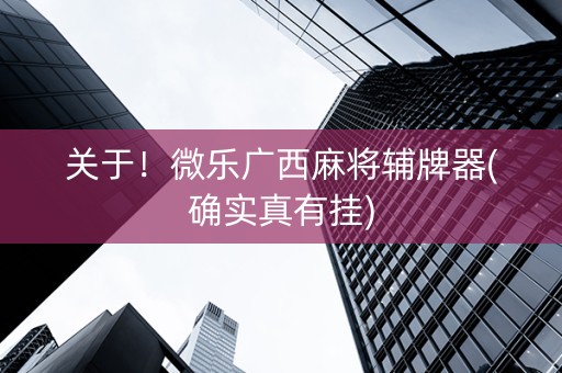 关于！微乐广西麻将辅牌器(确实真有挂)
