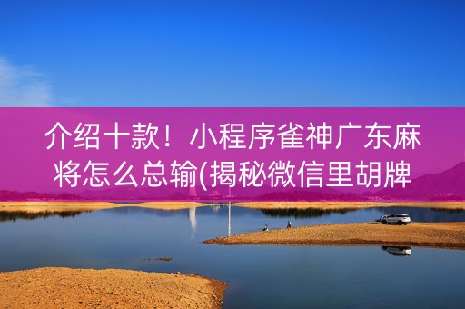 介绍十款！小程序雀神广东麻将怎么总输(揭秘微信里胡牌技巧)