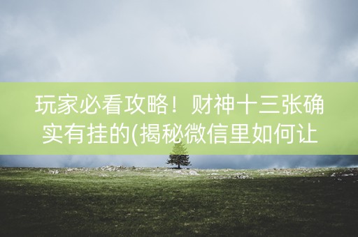 玩家必看攻略！财神十三张确实有挂的(揭秘微信里如何让牌变好)