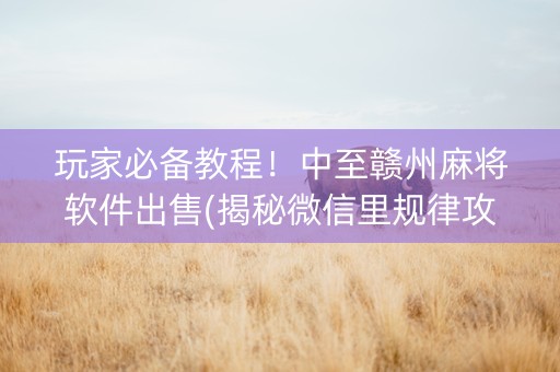 玩家必备教程！中至赣州麻将软件出售(揭秘微信里规律攻略)