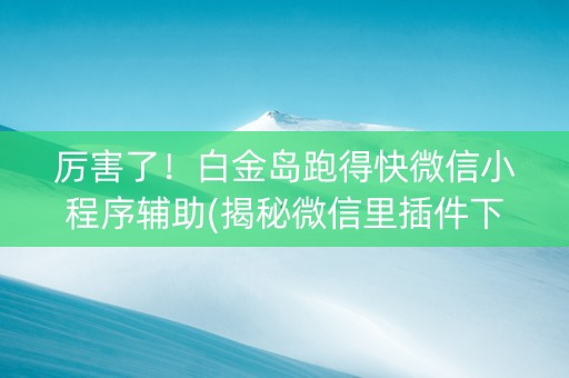 厉害了！白金岛跑得快微信小程序辅助(揭秘微信里插件下载)
