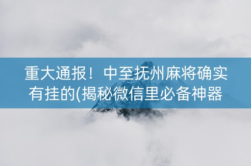 重大通报！中至抚州麻将确实有挂的(揭秘微信里必备神器)