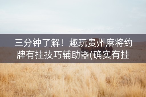 三分钟了解！趣玩贵州麻将约牌有挂技巧辅助器(确实有挂吗)