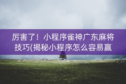 厉害了！小程序雀神广东麻将技巧(揭秘小程序怎么容易赢)