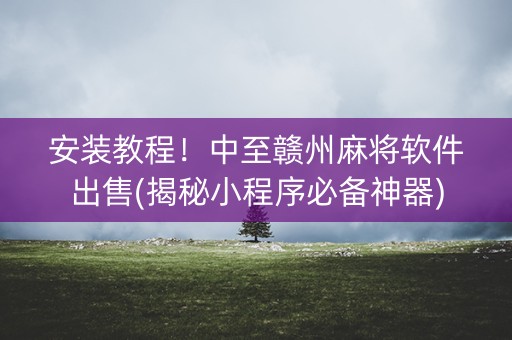 安装教程！中至赣州麻将软件出售(揭秘小程序必备神器)