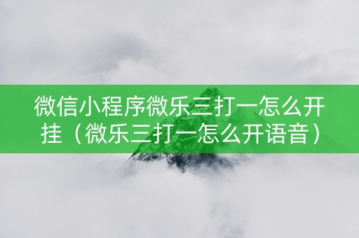 微信小程序微乐三打一怎么开挂（微乐三打一怎么开语音）