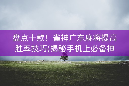 盘点十款！雀神广东麻将提高胜率技巧(揭秘手机上必备神器)