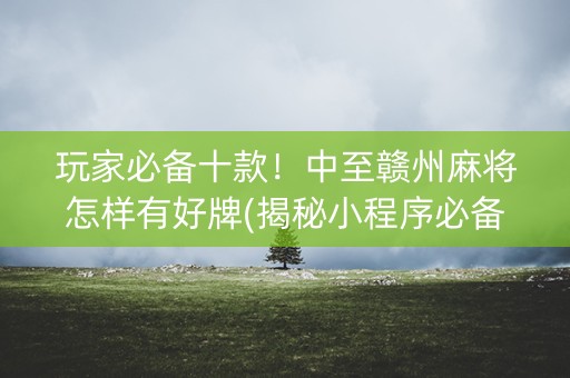 玩家必备十款！中至赣州麻将怎样有好牌(揭秘小程序必备神器)