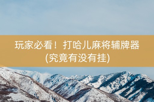 玩家必看！打哈儿麻将辅牌器(究竟有没有挂)
