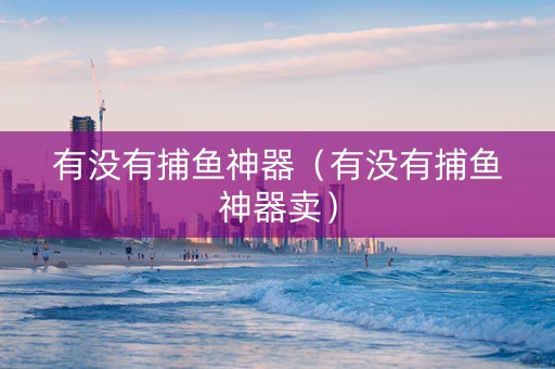 有没有捕鱼神器（有没有捕鱼神器卖）