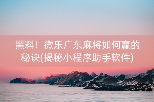 黑料！微乐广东麻将如何赢的秘诀(揭秘小程序助手软件)