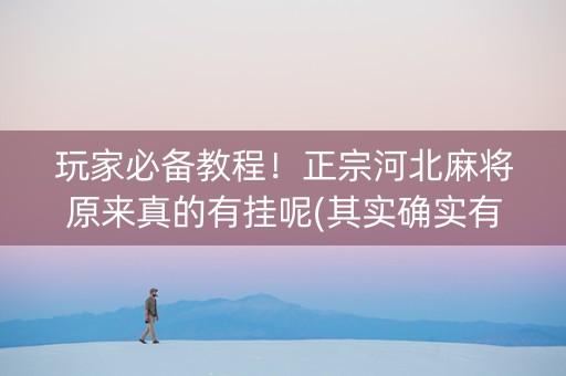 玩家必备教程！正宗河北麻将原来真的有挂呢(其实确实有挂)