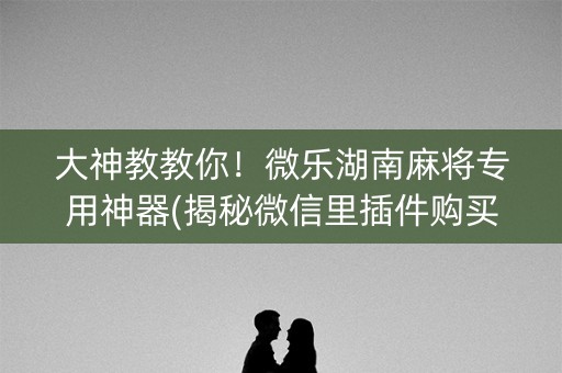 大神教教你！微乐湖南麻将专用神器(揭秘微信里插件购买)