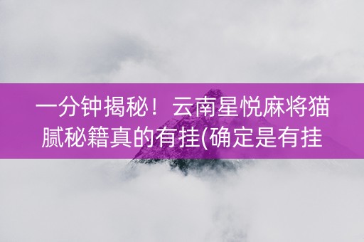 一分钟揭秘！云南星悦麻将猫腻秘籍真的有挂(确定是有挂)