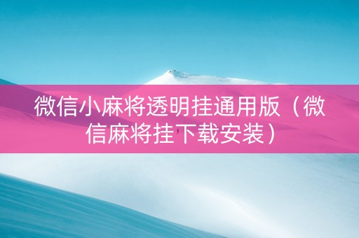 微信小麻将透明挂通用版（微信麻将挂下载安装）