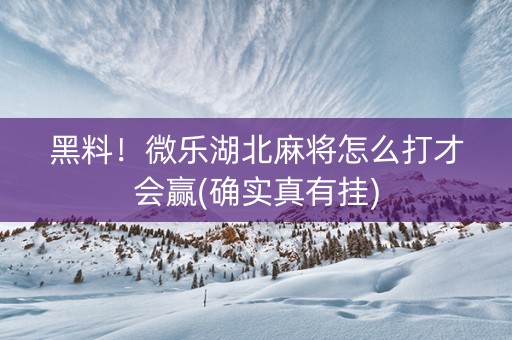 黑料！微乐湖北麻将怎么打才会赢(确实真有挂)