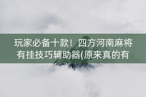 玩家必备十款！四方河南麻将有挂技巧辅助器(原来真的有挂)