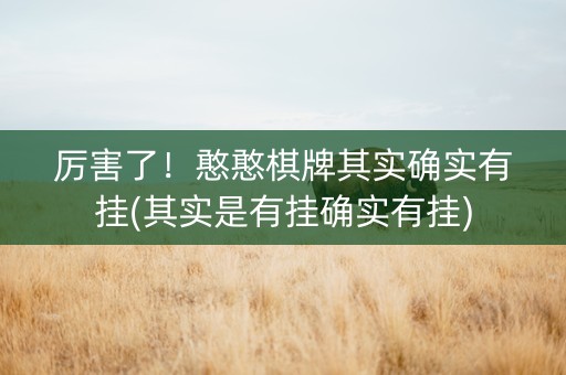 厉害了！憨憨棋牌其实确实有挂(其实是有挂确实有挂)