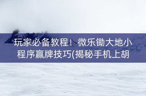 玩家必备教程！微乐锄大地小程序赢牌技巧(揭秘手机上胡牌神器)