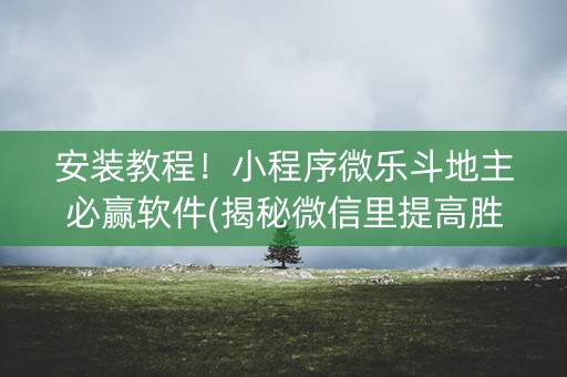 安装教程！小程序微乐斗地主必赢软件(揭秘微信里提高胜率)