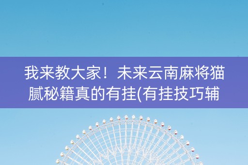 我来教大家！未来云南麻将猫腻秘籍真的有挂(有挂技巧辅助器)