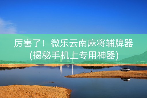 厉害了！微乐云南麻将辅牌器(揭秘手机上专用神器)