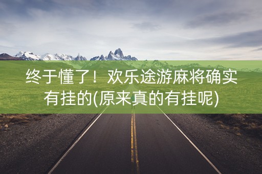 终于懂了！欢乐途游麻将确实有挂的(原来真的有挂呢)