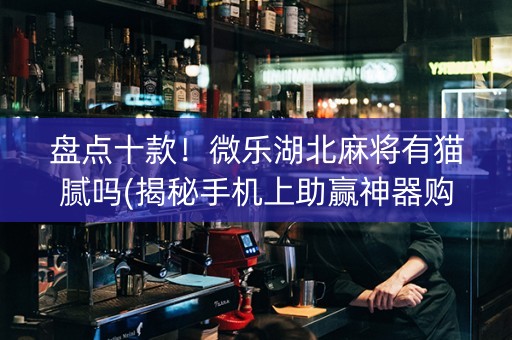 盘点十款！微乐湖北麻将有猫腻吗(揭秘手机上助赢神器购买)