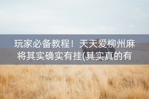 玩家必备教程！天天爱柳州麻将其实确实有挂(其实真的有挂)
