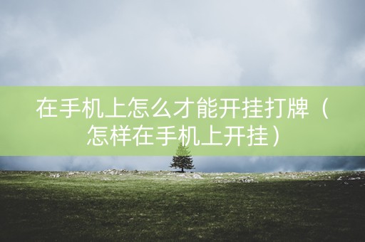 在手机上怎么才能开挂打牌（怎样在手机上开挂）