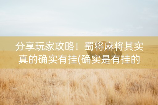 分享玩家攻略！蜀将麻将其实真的确实有挂(确实是有挂的)