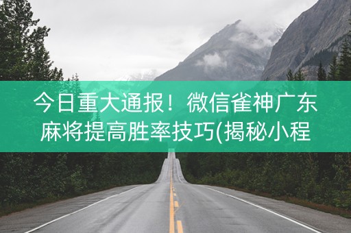 今日重大通报！微信雀神广东麻将提高胜率技巧(揭秘小程序助赢软件)