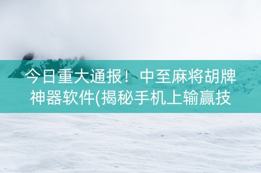 今日重大通报！中至麻将胡牌神器软件(揭秘手机上输赢技巧)