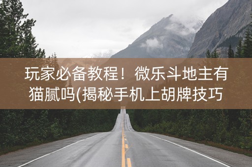 玩家必备教程！微乐斗地主有猫腻吗(揭秘手机上胡牌技巧)