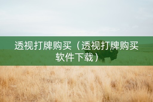 透视打牌购买（透视打牌购买软件下载）